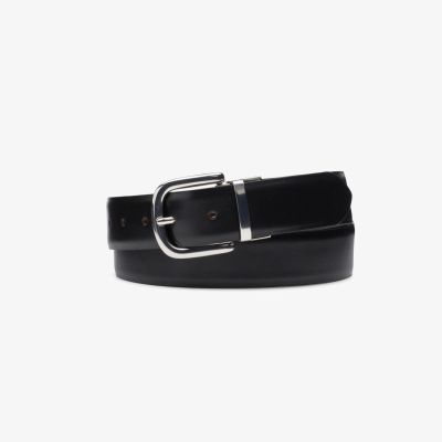 Reversible Belt