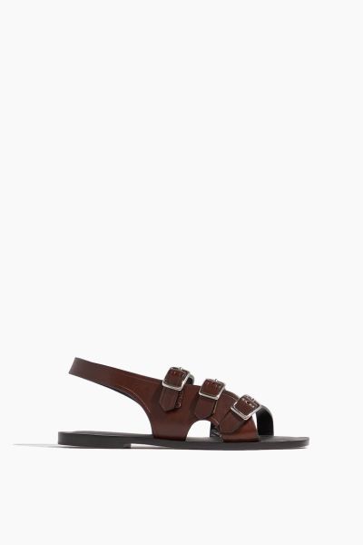 Sawyer Sandal in Dark Brown