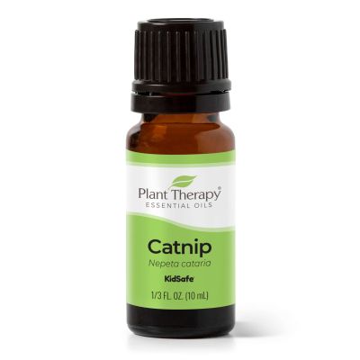 Catnip Essential Oil