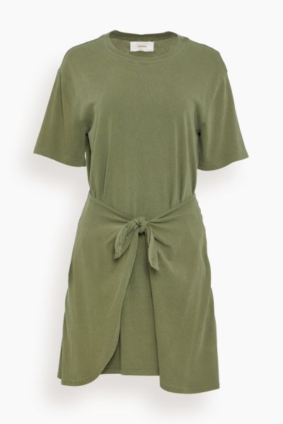 Emme Dress in Dune Green