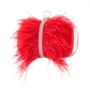 Nina Shoes Lara Red Rouge Feather Embellished Minaudiere