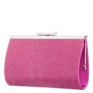 Nina Shoes Winslet Ultra Pink Crystal Frame Clutch